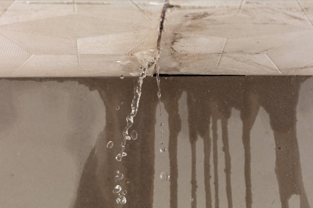 Professional Structural Drying technician working in Milford, PA